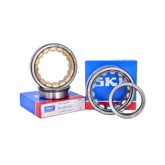 Roller Bearingskfnu304 Ecp/C3//Cylindrical Roller Bearing/Rolling Bearing/Ball Bearing