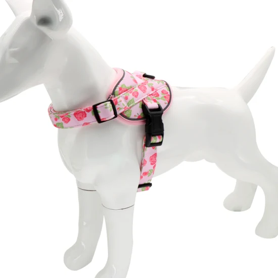 Wholesale Pet Clothes Fashion New Products Dog Harness Cute Pet Vest for Small Dogs for Walking Dogs